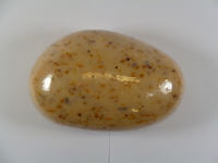 Savon exfoliant algues marine